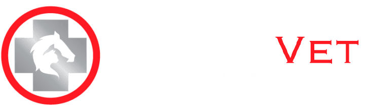 SILVERVET